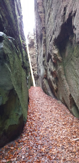 Binzeltschluff
