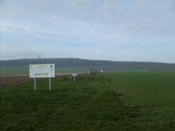 Biodiversit&eacute;