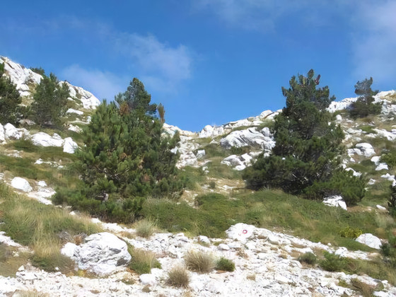 Biokovska Planinarska Staza (BPS)