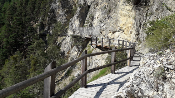 Bisse des Sarrasins