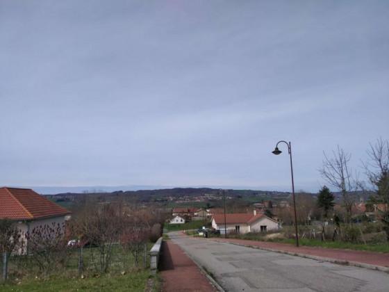 Bizonnes