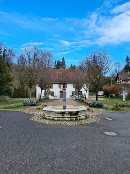 Blick auf den Gasthof Zur Lilie