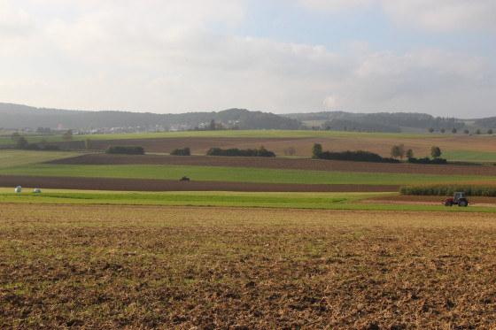 Vue sur les champs