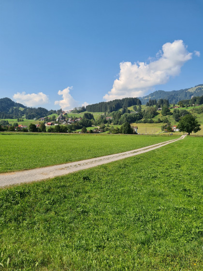 Blick in die Berge auf Höhe der Ostrach