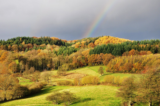 Vue depuis la tour panoramique sur l'Aschberg