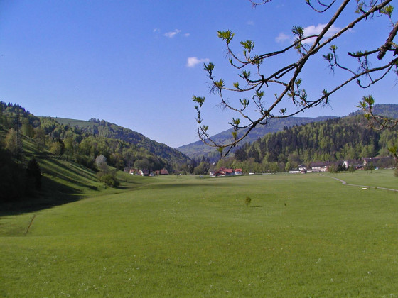 Blick vom Mühlmattweg
