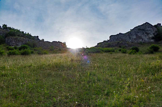 Vue depuis le côté ouest sur le sommet de l\'Ehrenbürg