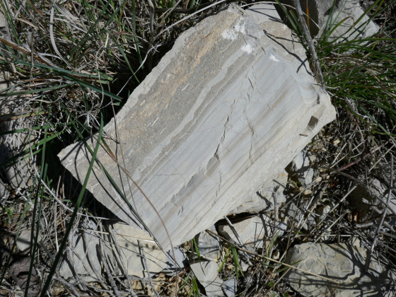 Bloc de calcaire montrant sa stratification