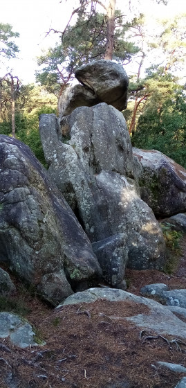 Bloc de roher