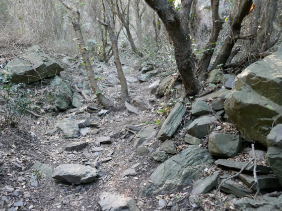 Blocs de roches métamorphiques