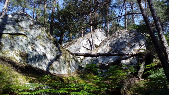 Blocs Blocs