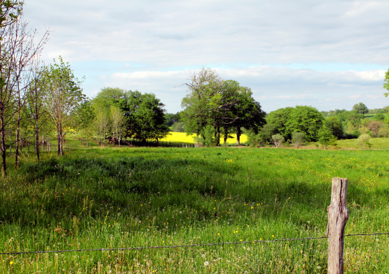 Bocage &agrave; Bazelat