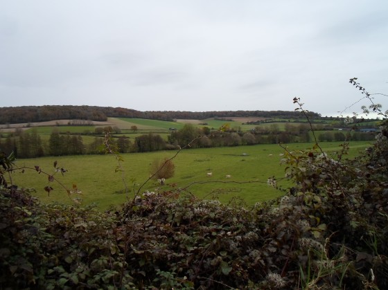 Bocage brayon