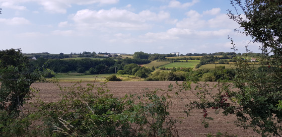 Bocage