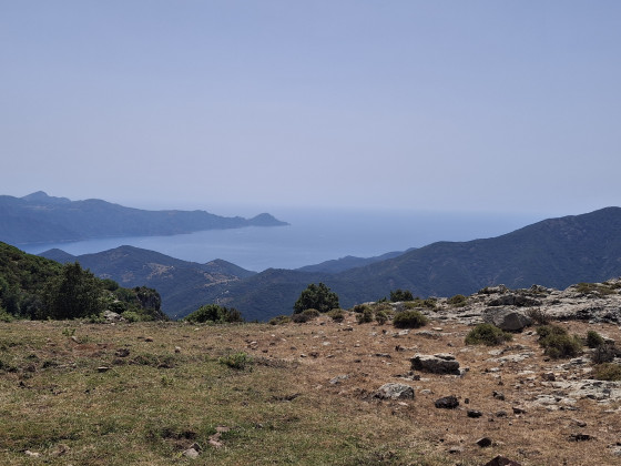 Bocca di melza