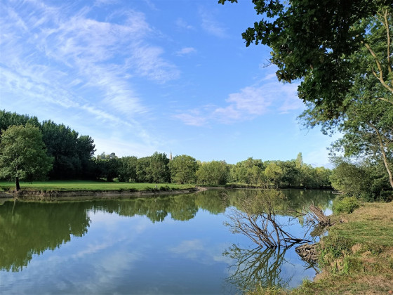 Boire de la Nigaudière à Drain