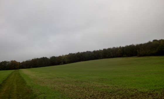 Bois d\'Automne