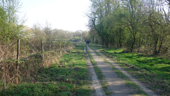Bois d'Yvris