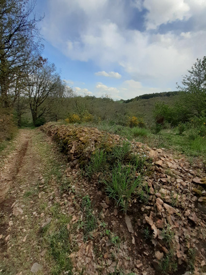 Bois de Cierve