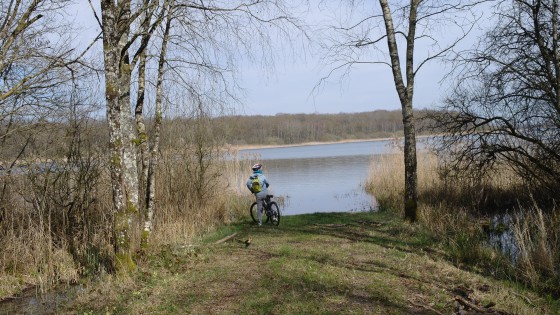 Bois de Gargantua