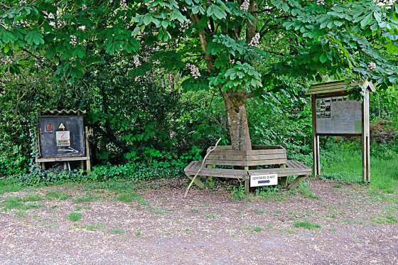 Bois de Gesves