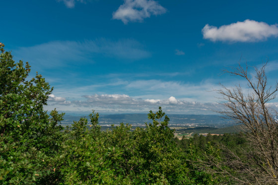Bois de Jamot