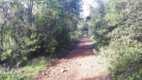 Bois de l\'Eouvière