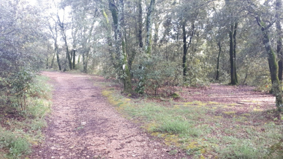 Bois de l'Eouvi&egrave;re