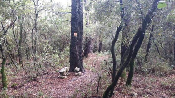 Bois de l'Eouvi&egrave;re