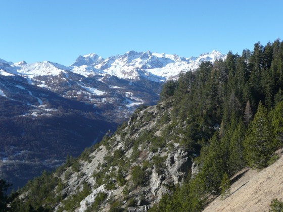 Bois de l\'Ours