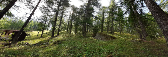 Bois de la Blanche