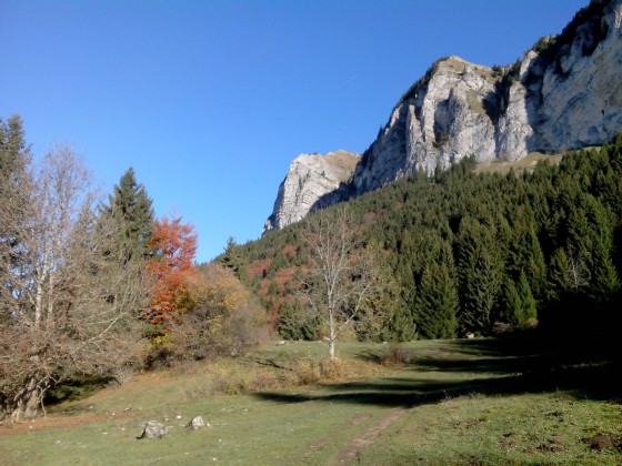 Bois de la Corne