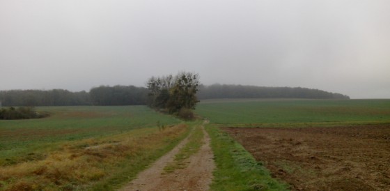 Bois de Penchard