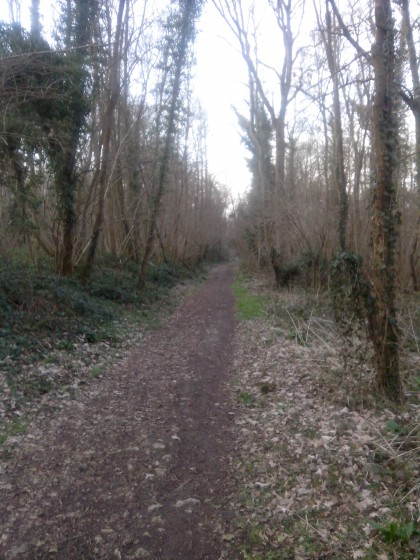 Bois de Penchard