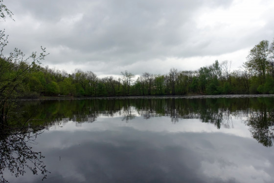Bois des Béroudières