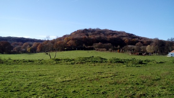 Bois des Grais