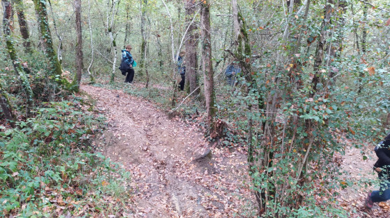 Bois des Magnolias