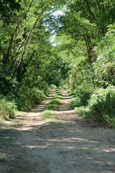 Bois des Sables