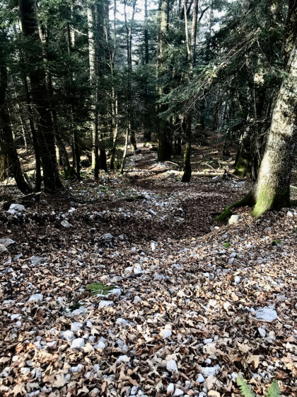 Bois du Blanc