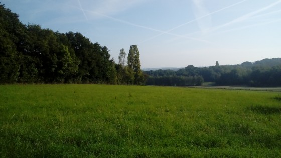 Bois et prairies