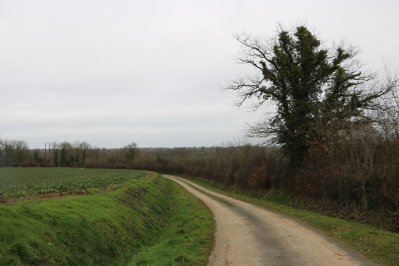 Bon chemin blanc