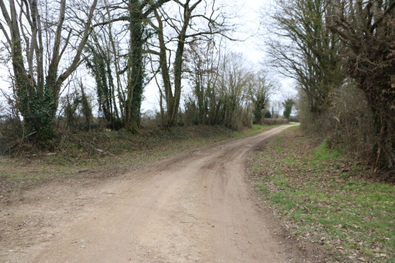 Bon chemin