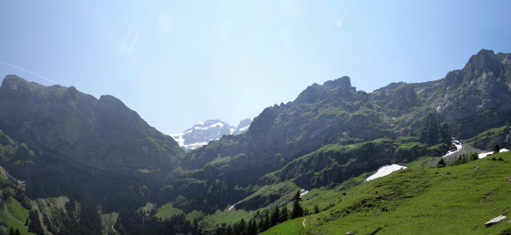Bonavau
