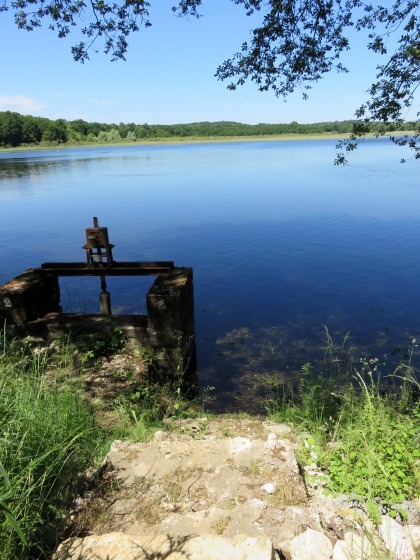 Bonde à l\'étang de Lys-St-Georges