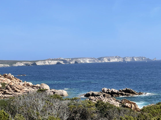 Bonifacio