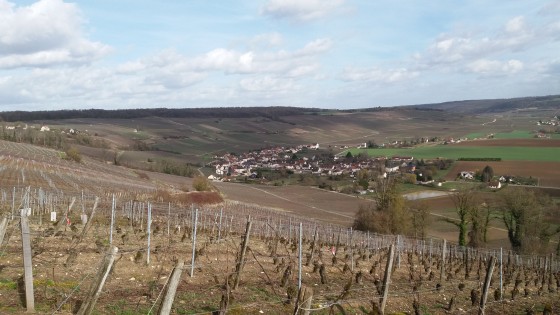 Bonneil