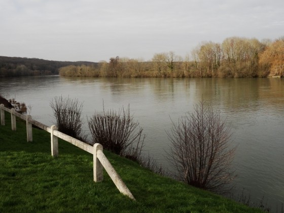 Bord de Seine