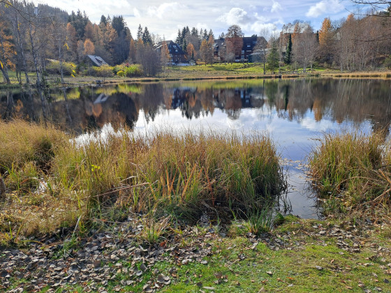 Bord de l'&eacute;tang Alterweiher
