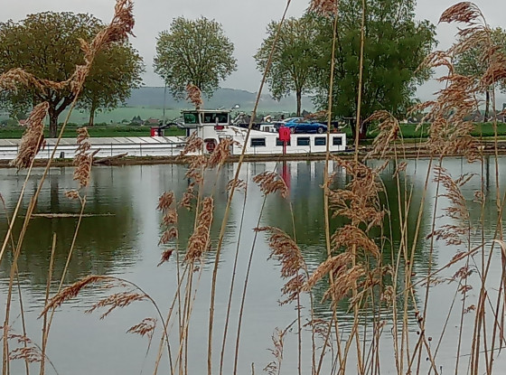 Bord de l\'Yonne