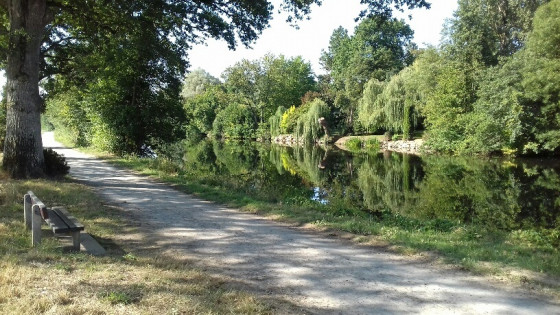 Bord de la Mayenne au départ de la balade